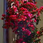 La Garoupe-gardiole Boutique Hotel Antibes