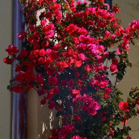 La Garoupe-gardiole Szálloda Antibes