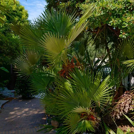 La Garoupe-gardiole 3* Antibes