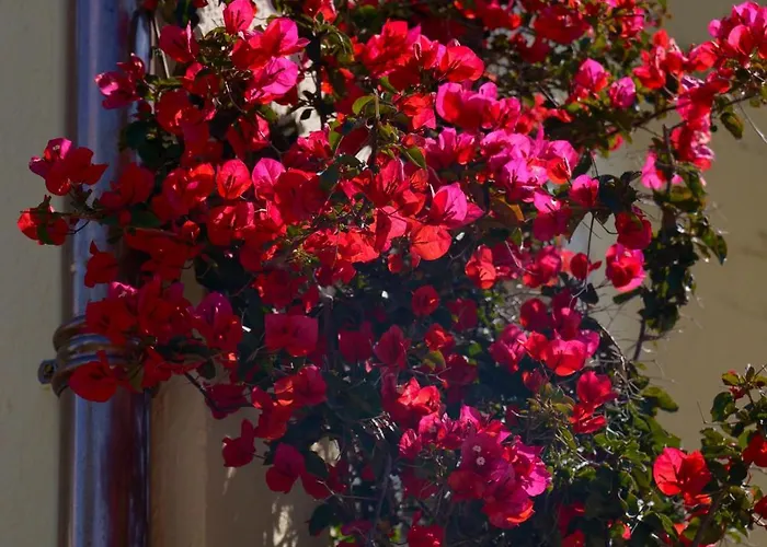 La Garoupe-gardiole Boutique Szálloda Antibes